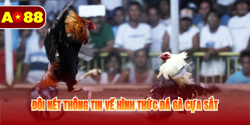 Đá Gà Cựa Sắt - Cá Cược Sôi Động Không Giới Hạn Mỗi Ngày 2 Đôi nét thông tin về hình thức đá gà cựa sắt