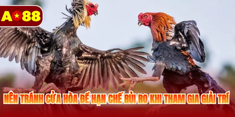 Đá Gà Cựa Dao - Sân Chơi Kịch Tính Và Đầy Căng Thẳng 4 Nên tránh cửa hòa để hạn chế rủi ro khi tham gia giải trí