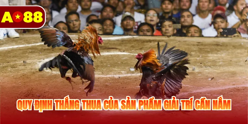 Đá Gà Cựa Sắt - Cá Cược Sôi Động Không Giới Hạn Mỗi Ngày 3 Quy định thắng thua của sản phẩm giải trí cần nắm