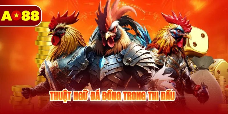 Thuật ngữ đá đồng trong thi đấu