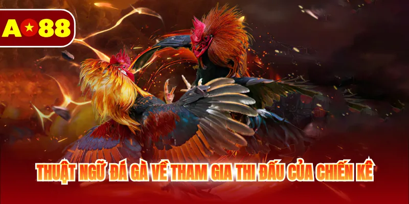 Thuật ngữ đá gà về tham gia thi đấu của chiến kê