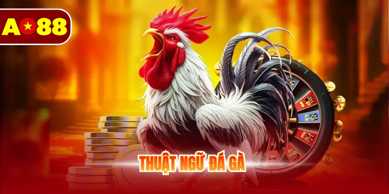 thuật ngữ đá gà