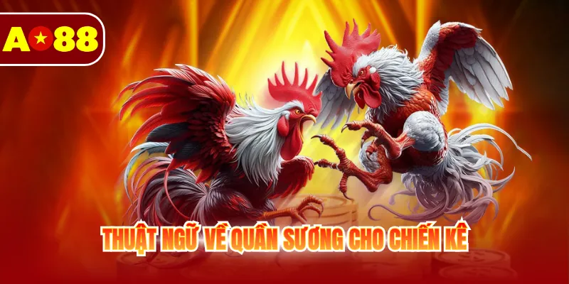 Thuật ngữ về quần sương cho chiến kê